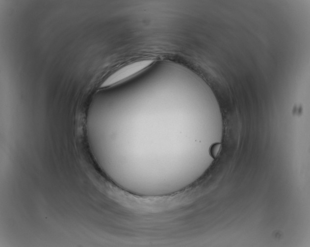 X0000090920038200708201816