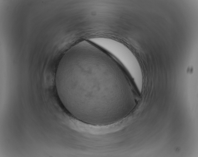 X0000090920039200708201816