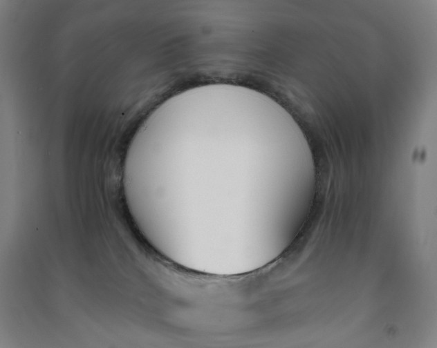 X0000090920040200708201816