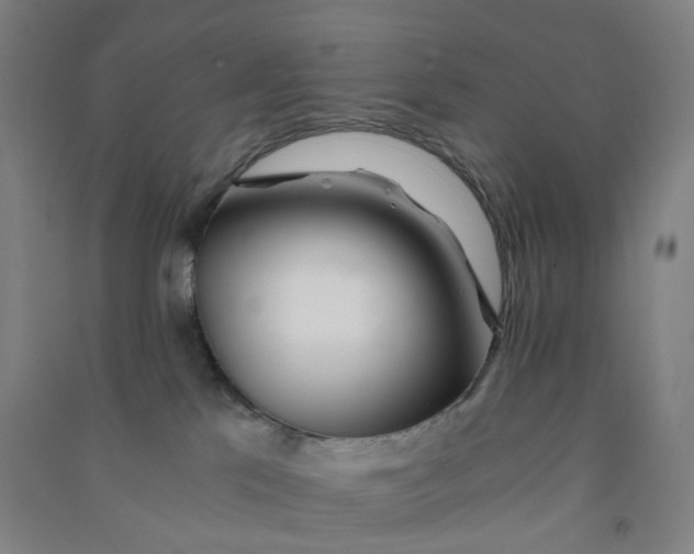 X0000090920041200708201816