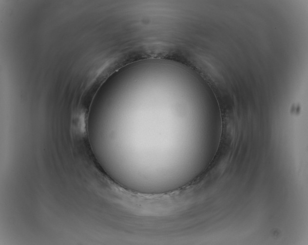 X0000090920042200708201816