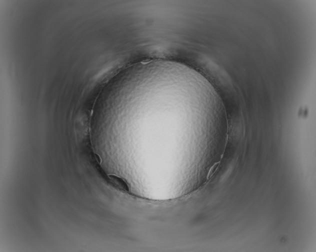 X0000090920043200708201816