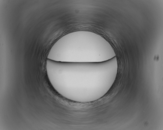 X0000090920044200708201816