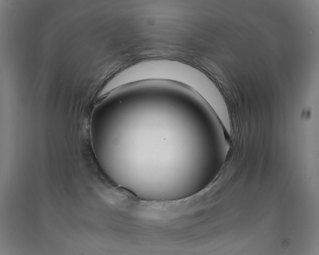 X0000090920045200708201816