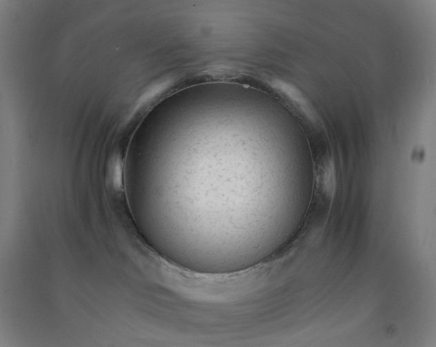 X0000090920046200708201816