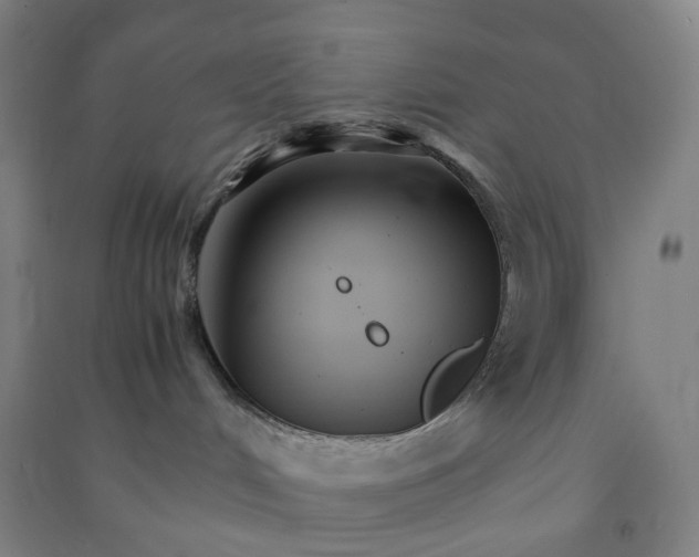 X0000090920048200708201816