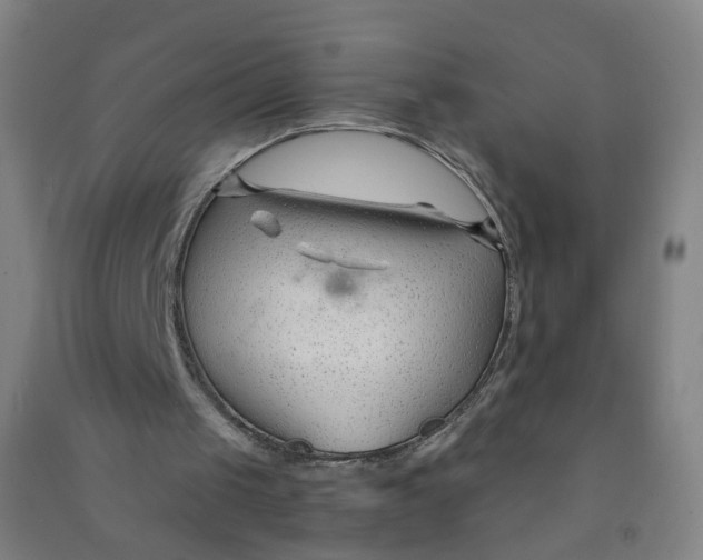 X0000090920049200708201815