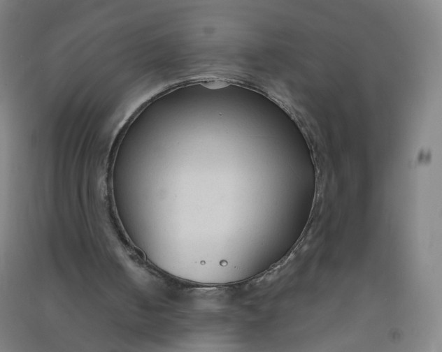 X0000090920050200708201815