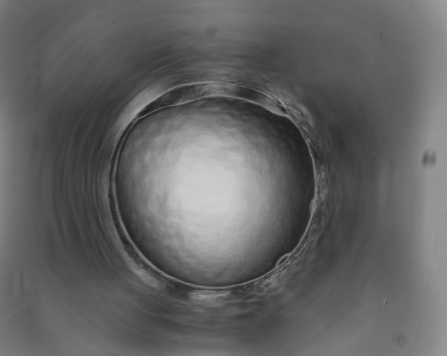 X0000090920051200708201815