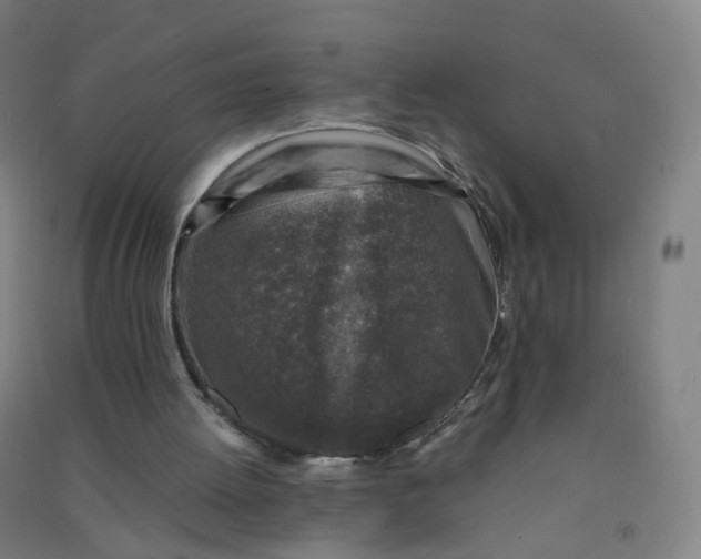 X0000090920052200708201815