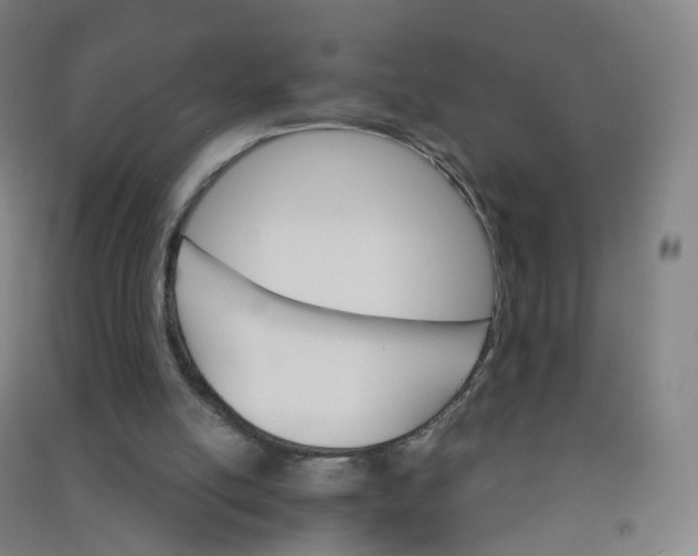 X0000090920054200708201815