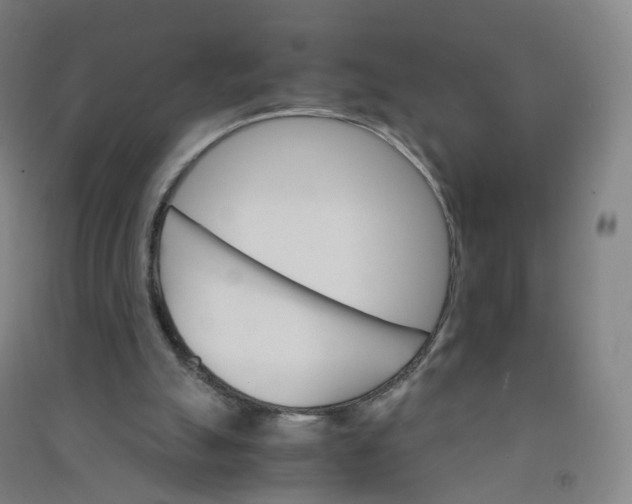 X0000090920055200708201815