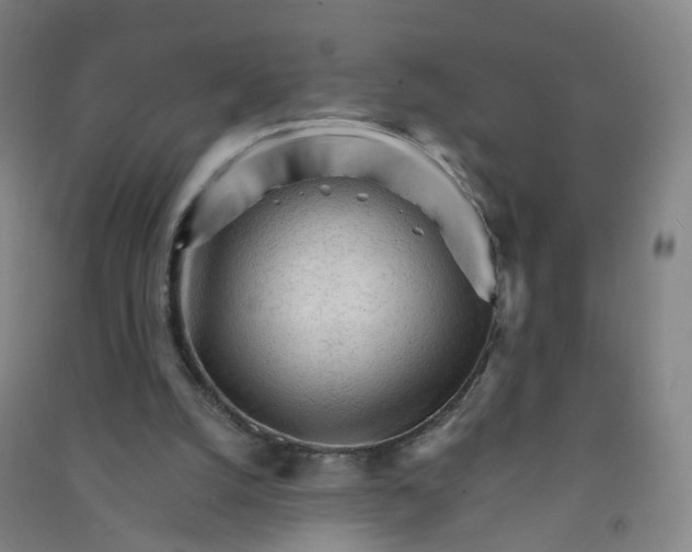 X0000090920056200708201815