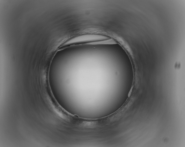 X0000090920057200708201815