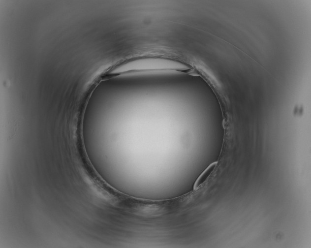 X0000090920058200708201815