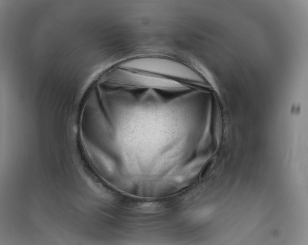 X0000090920059200708201815