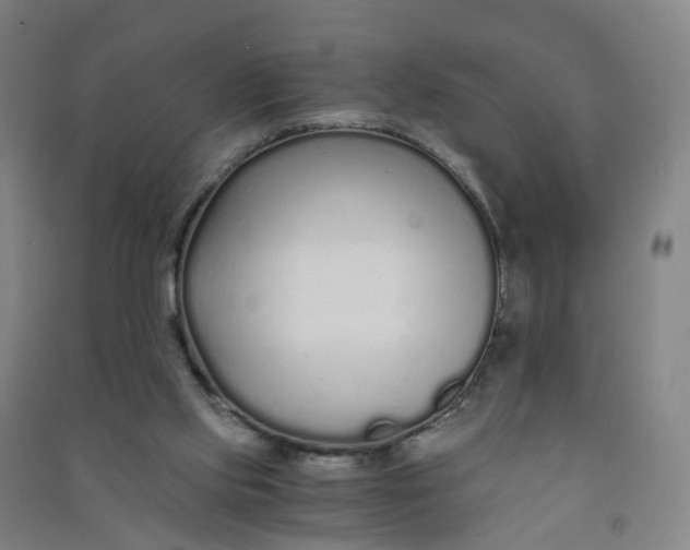 X0000090920061200708201815