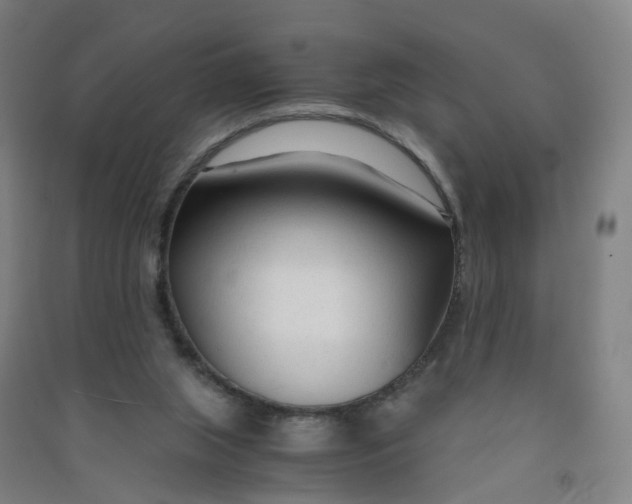 X0000090920063200708201815