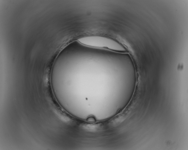 X0000090920065200708201815