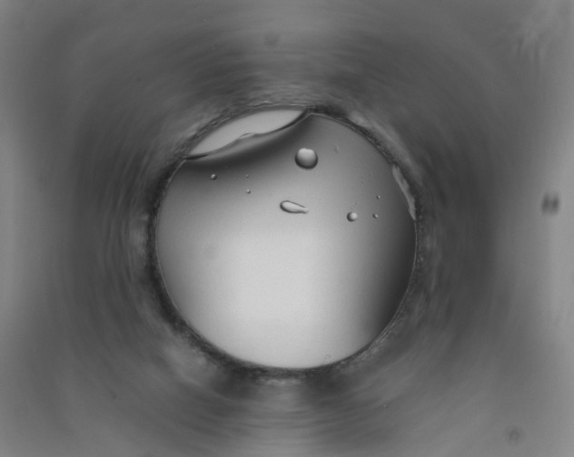 X0000090920066200708201815