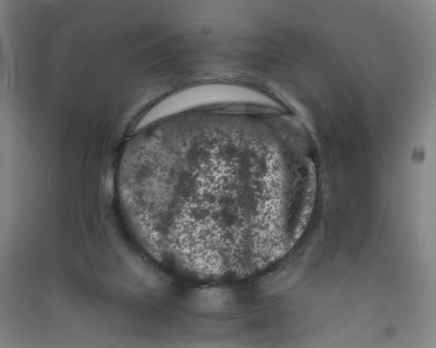 X0000090920067200708201815