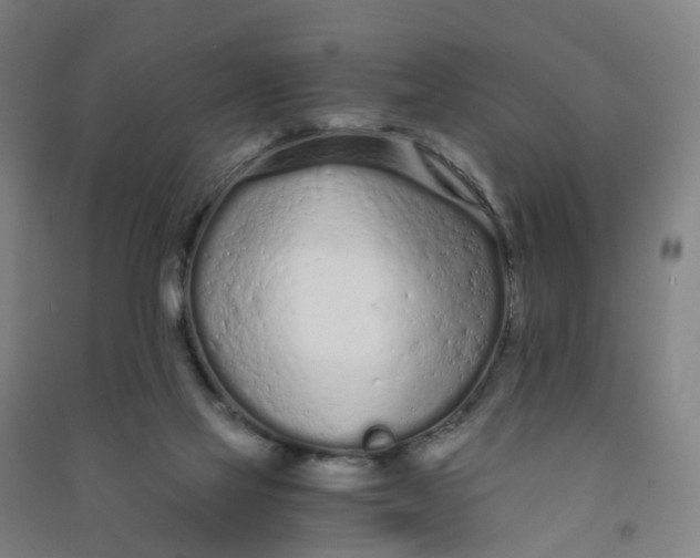 X0000090920069200708201815