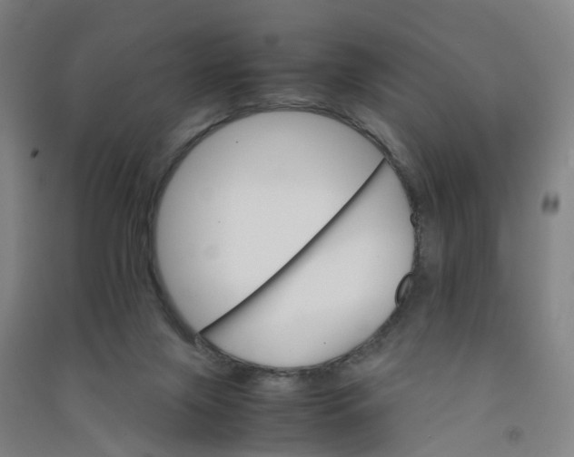 X0000090920071200708201815