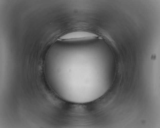 X0000090920073200708201815