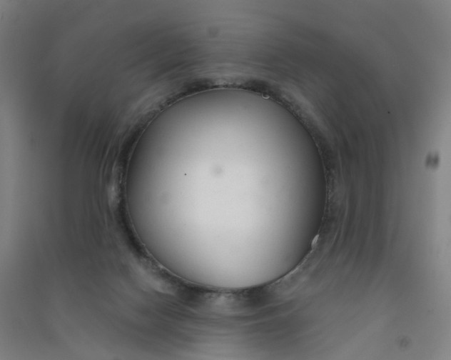 X0000090920074200708201815