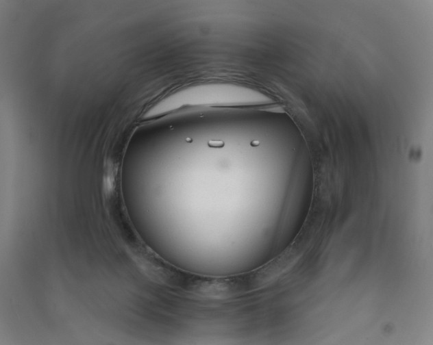 X0000090920075200708201815