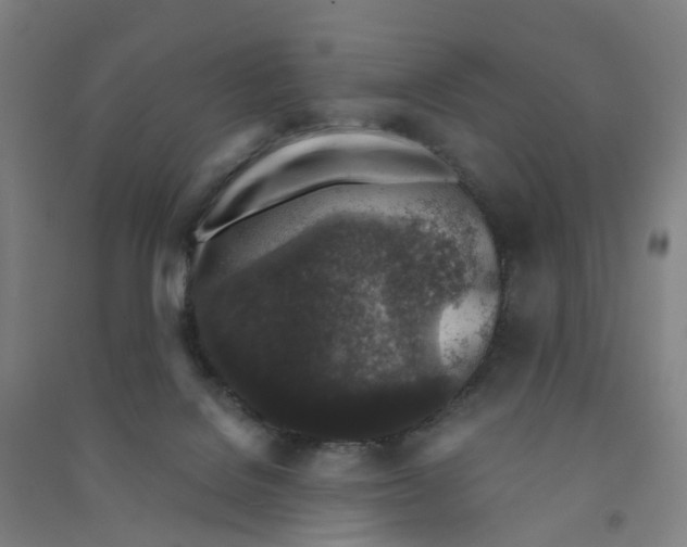 X0000090920076200708201815