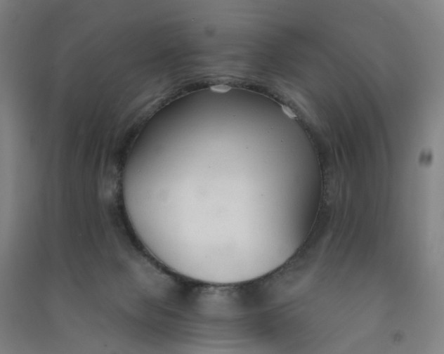 X0000090920077200708201815