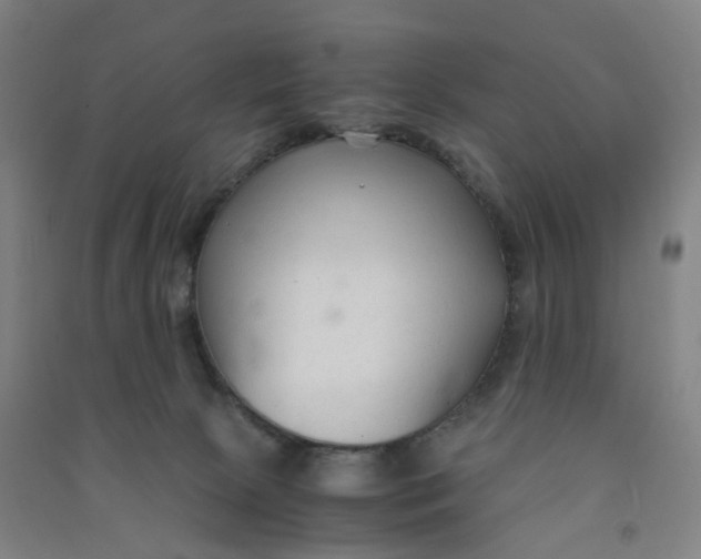 X0000090920081200708201815