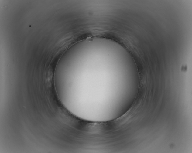 X0000090920082200708201815