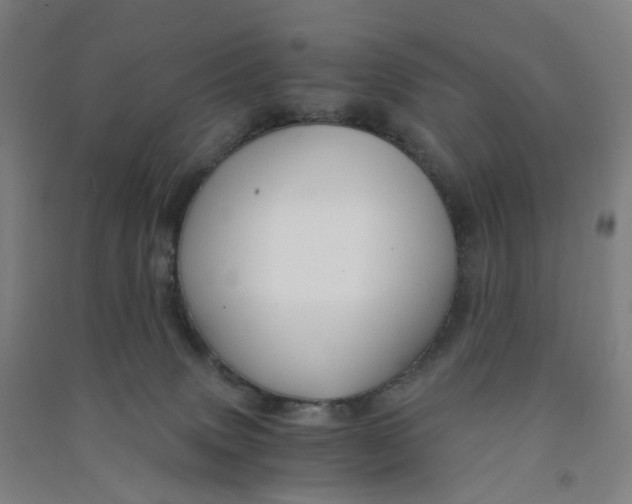 X0000090920083200708201815