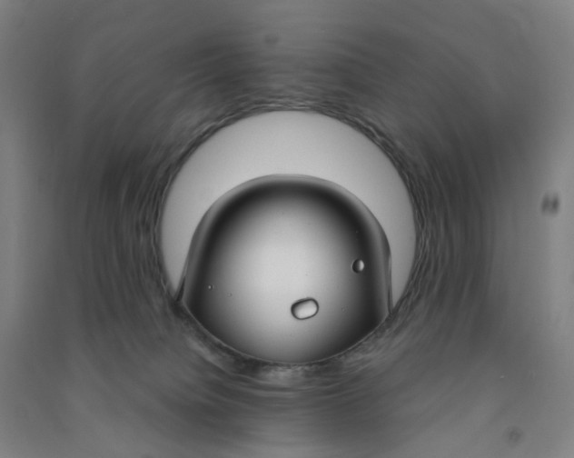 X0000090920084200708201815