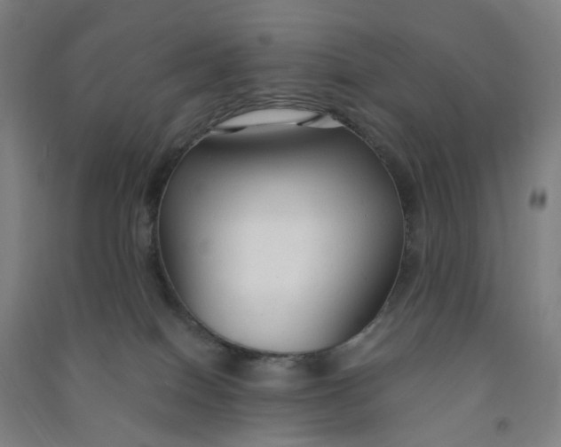 X0000090920086200708201815