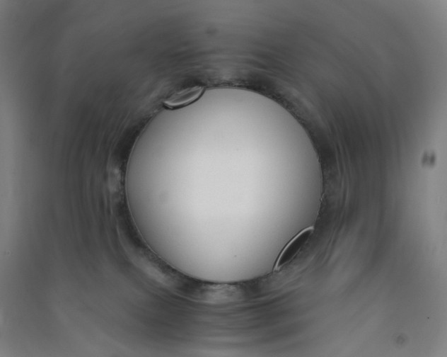 X0000090920087200708201815