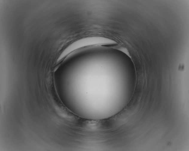 X0000090920088200708201815