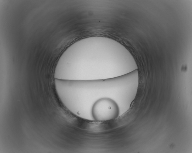 X0000090920090200708201815