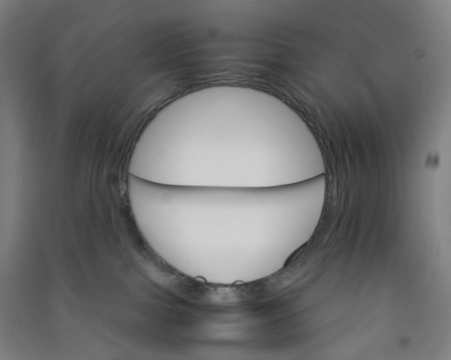 X0000090920091200708201815