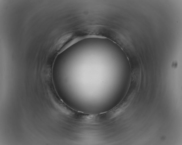 X0000090920092200708201815