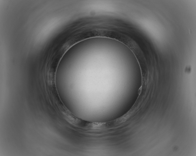 X0000090920093200708201815