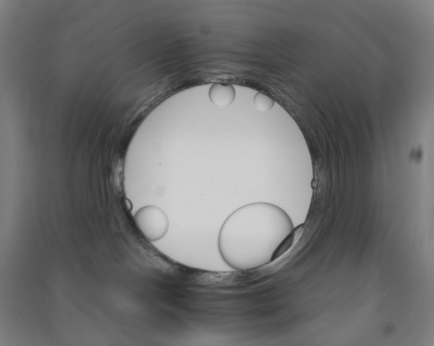 X0000090920094200708201816