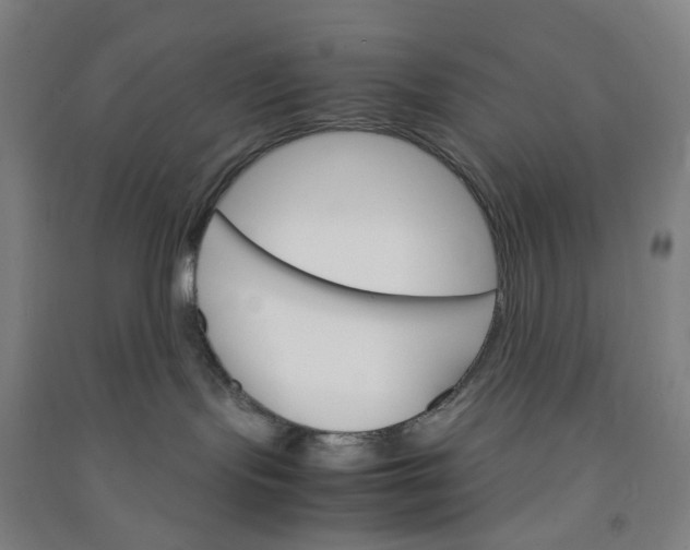 X0000090920095200708201816