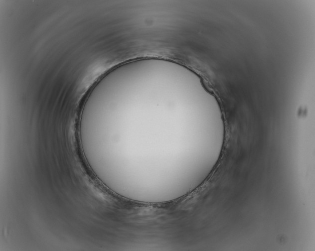 X0000090920098200708201815