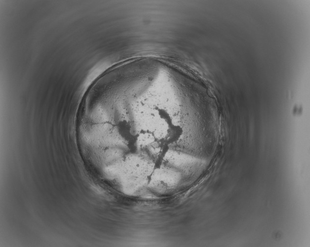 X0000090920099200708201815