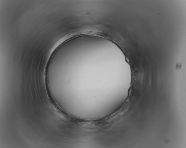 X0000090920100200708201815