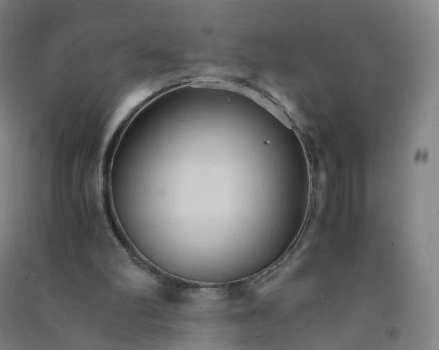 X0000090920102200708201815