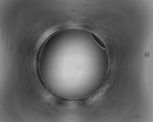 X0000090920103200708201815